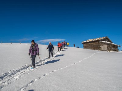 Group of people snowshoeing descending snow-covered hill following previously made tracks with wooden hut in background amidst blue skies on sunny day, St Zyprian, Italy