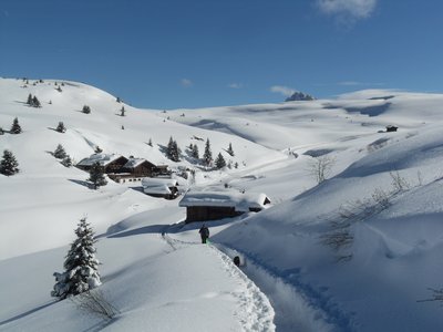 Person walking dog up deeply etched snow path with small amount of wooden chalets and pine trees nestled among hills close by and blue skies above, Dolomites, Italy