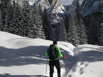 Man snowshoeing towards the Rosengarten group massif mountains, St Zyprian, Dolomites, Italy