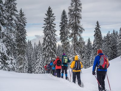 Group snowshoe walking into snow pine forest, St Zyprian, Italy 