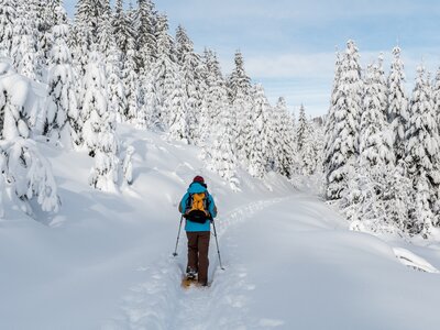 Girl hiking with snowshoes in the Rosengarten-Schlern group (Gruppo Catinaccio Sciliar) and the village of Karersee Carezza in the Dolomites in Italian Alps, Südtirol, Alto Adige in winter with snow amongst snow-covered pine trees