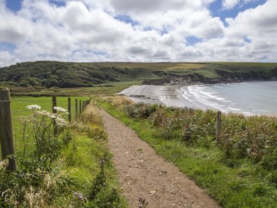 Pathway at Aber Mawr, Pembrokeshire, Pembrokeshire, Wales, Great Britain